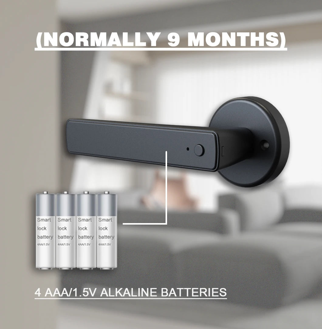 WINFREE ZenLock™ – Serratura Smart per Porte in Legno con Impronta, Codice, Bluetooth e Controllo Vocale
