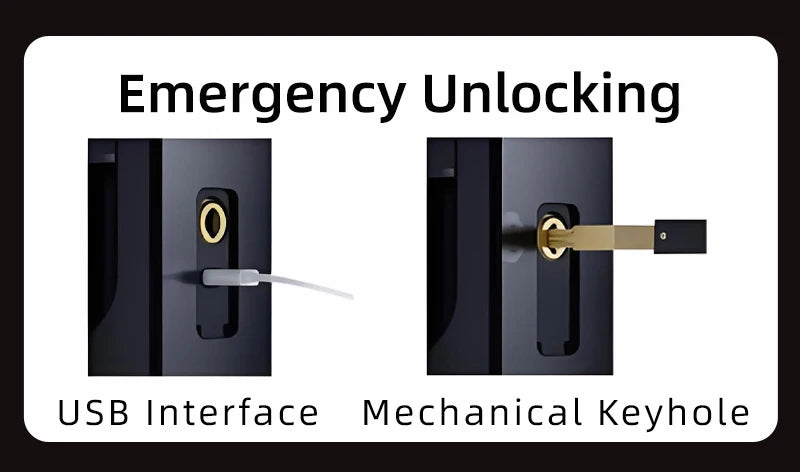 Serratura Smart con Riconoscimento Facciale 3D, Impronta Digitale e App Wishome